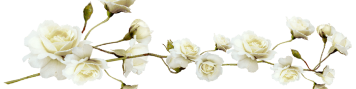 flores flores